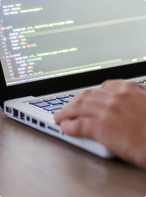 Custom Software Development Web