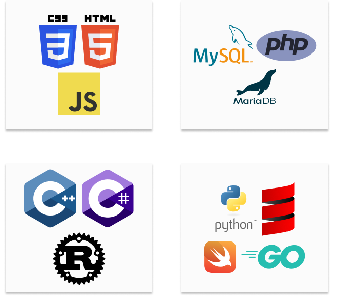 web development services programming language